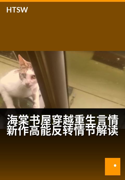 海棠书屋穿越重生言情新作高能反转情节解读 - 海棠春深重活一世 致命布局步步为局