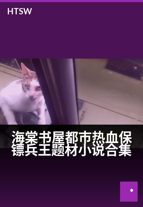 海棠书屋都市热血保镖兵王题材小说合集 - 铁血保镖护花都市，兵王归来再战江湖-都市小说-海棠书屋