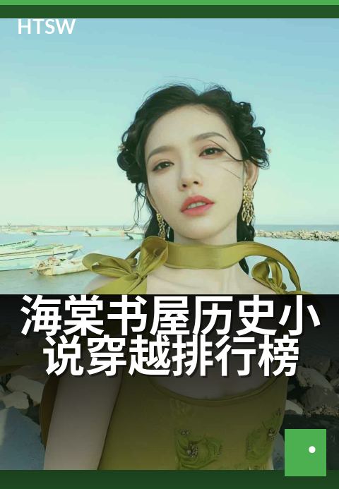 海棠书屋历史小说穿越排行榜 - 穿越时空，亲历王朝兴衰