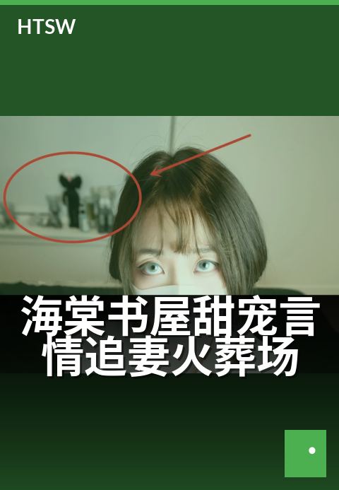 海棠书屋甜宠言情追妻火葬场 - 破镜重圆,虐恋终成双