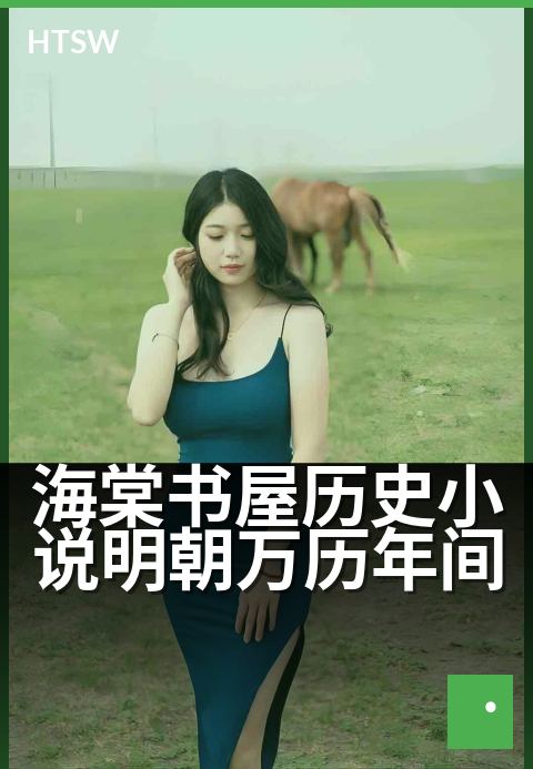 海棠书屋历史小说明朝万历年间 - 万历风云里的权谋棋局