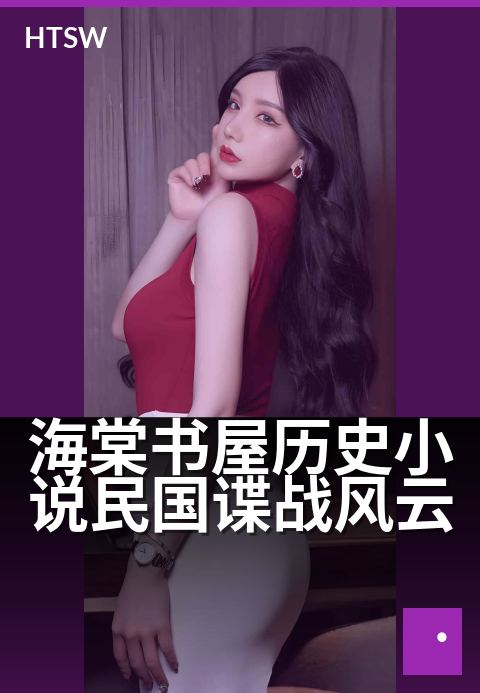 海棠书屋历史小说民国谍战风云 - 暗夜英雄谱,乱世书剑心