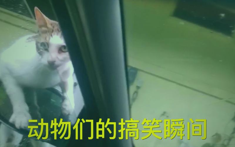 海棠书屋编辑团队在讨论专题选书标准