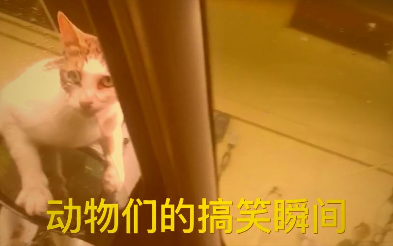 海棠书屋言情小说豪门虐恋反转封面合集