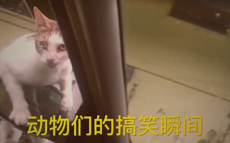 展开的古卷上，水墨山川旁浮现出星辰与齿轮等现代符号